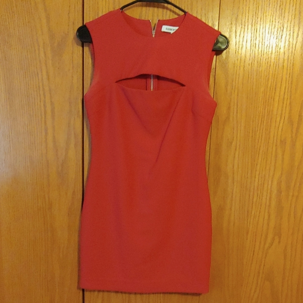 Elizabeth James fitted dress